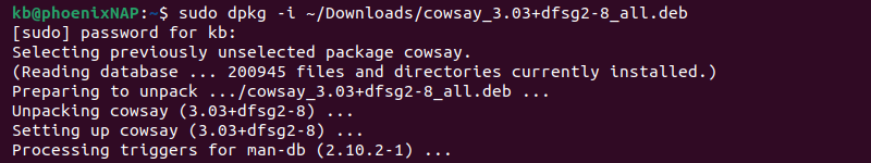 sudo dpkg -i sortie du terminal